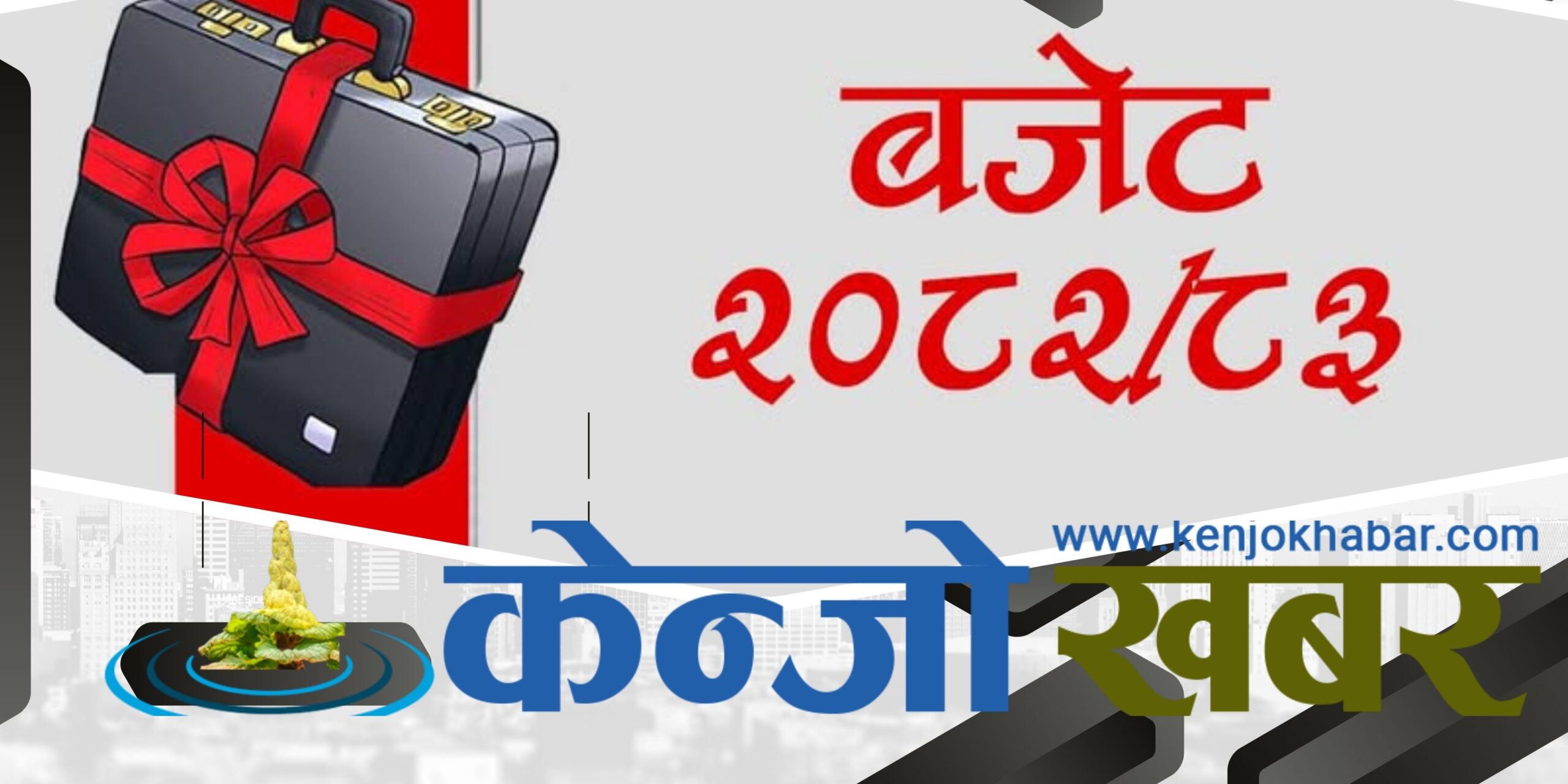 सबै स्थानीय तहले आज ल्याउँदैछन् बजेट