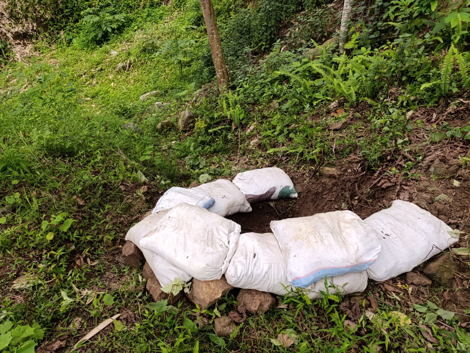 बर्सेनि भेटिन्छन् बम, छैन सचेतना र सङ्कलन