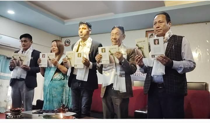 गाउँलेको कविता कृति