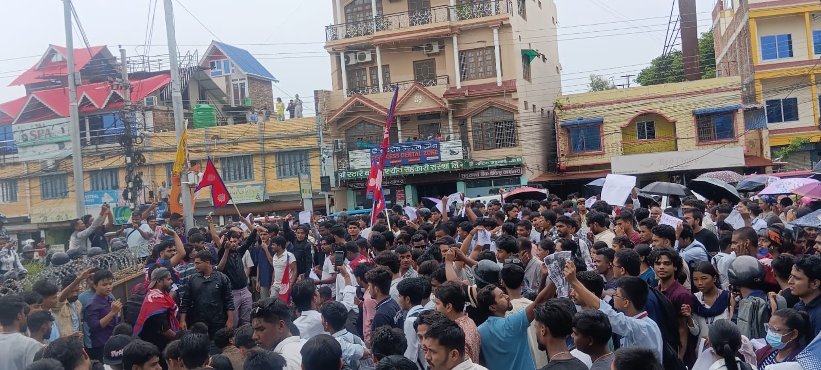 कोशी प्रदेशका जिल्ला-जिल्लामा जेन जीको प्रर्दशन