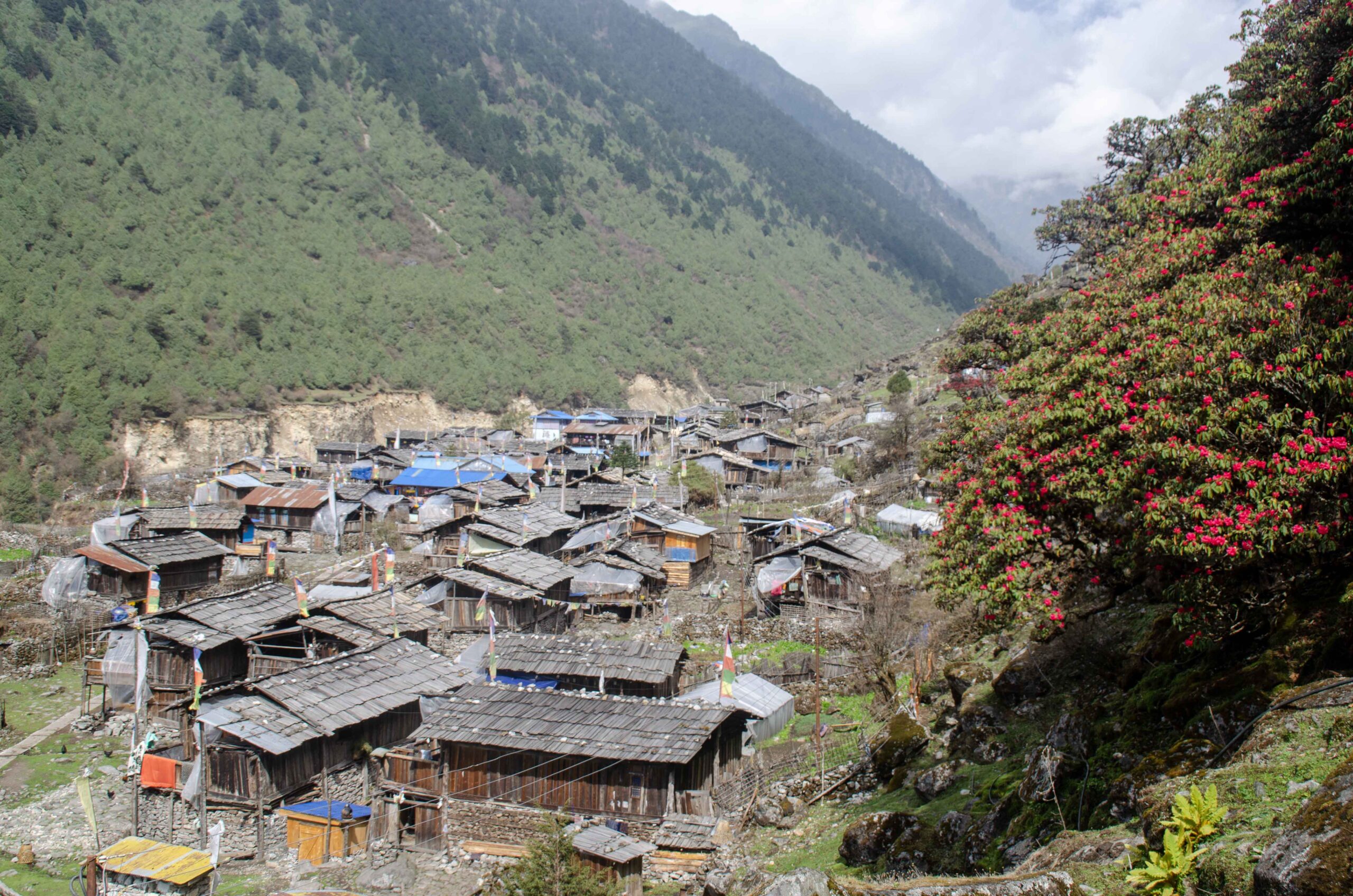 ओलाङचुङगोला पुुग्यो गाडी